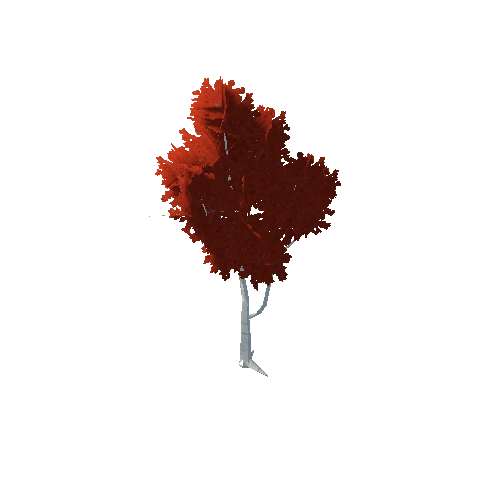 Birch Tree Red Big 03